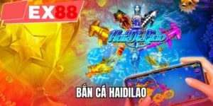 Bắn cá Haidilao