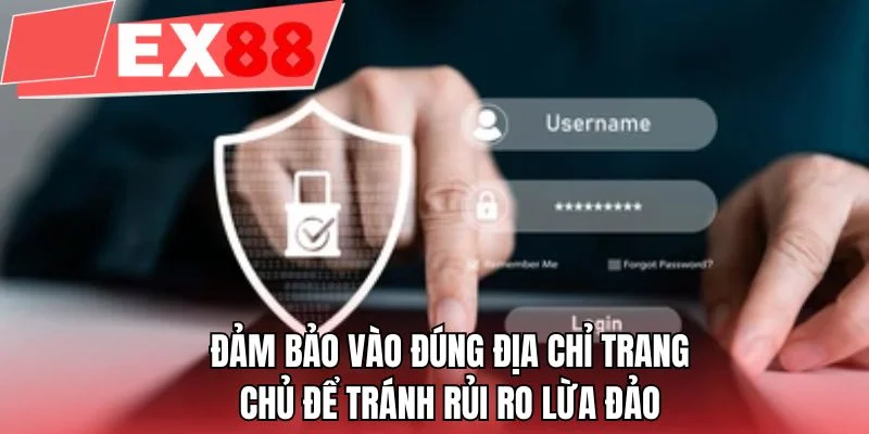 Đảm bảo vào đúng địa chỉ trang chủ để tránh rủi ro lừa đảo