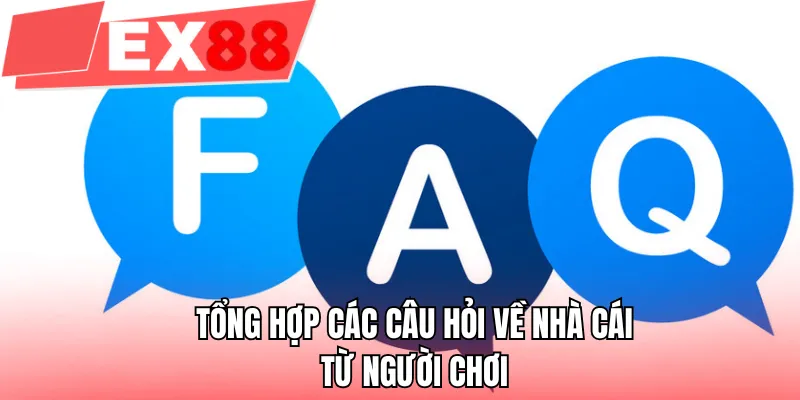 Tổng hợp các câu hỏi về nhà cái từ người chơi