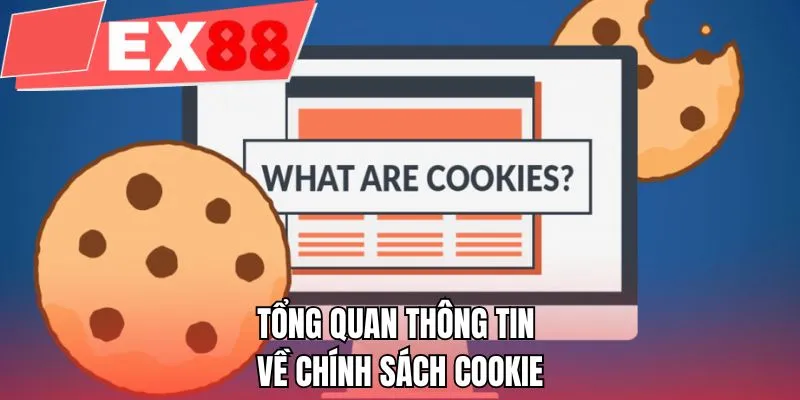 Tổng quan thông tin về chính sách cookie